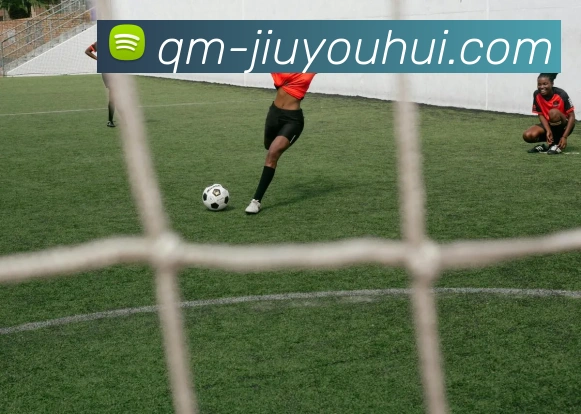 J9九游会官网平台生态图